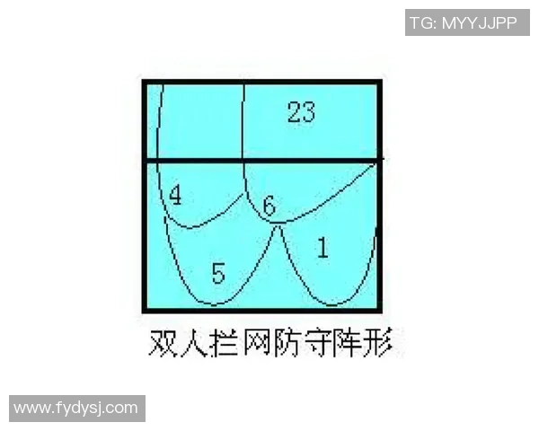 西安排球队区域防守体系的排球战术解析与应用探讨